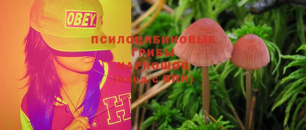 a pvp Баксан